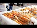 How tons of scampi fishing  norway lobster processing line  scampi processing in factory