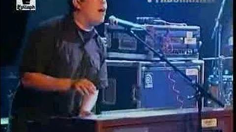 The Aggrolites - Mr. Misery (LIVE!!!)