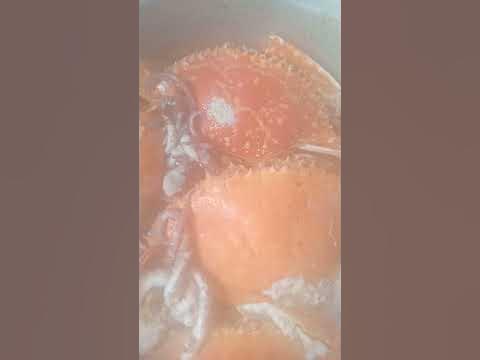 already cooked crab - YouTube