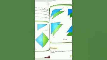 Practical file | Lab manual |Class 9 |Term2 Cbse #pratical #CBSE
