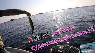 Рыбалка в Финляндии. Z-MAN - лучшая судаковая приманка?! Тест и сравнение приманок по судаку.