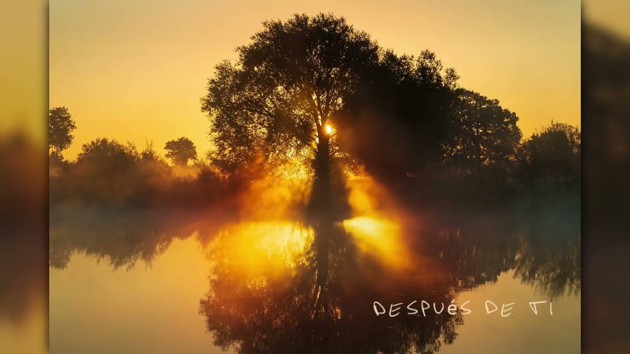 Después de Ti