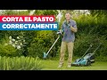 Cómo cortar el pasto correctamente