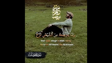 ما يتيسر من سورة فصلت.. بصوت ﴿القارئ #حمزة بو ديب﴾