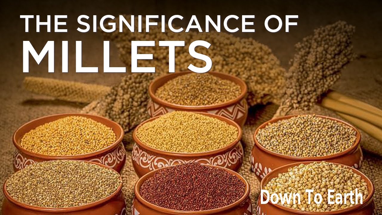 Millets Food millets-food