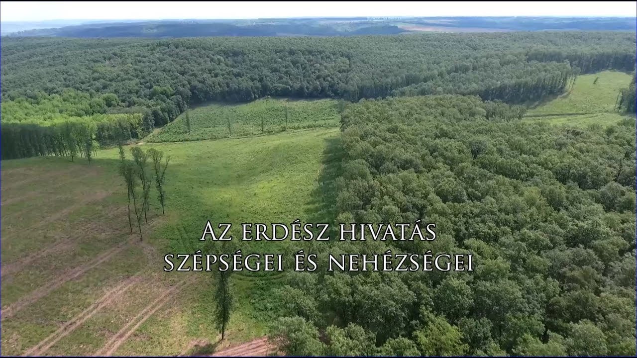 Reviczkyvel az Erdőben - Az erdész hivatás szépségei és nehézségei - 2017 - 12/12