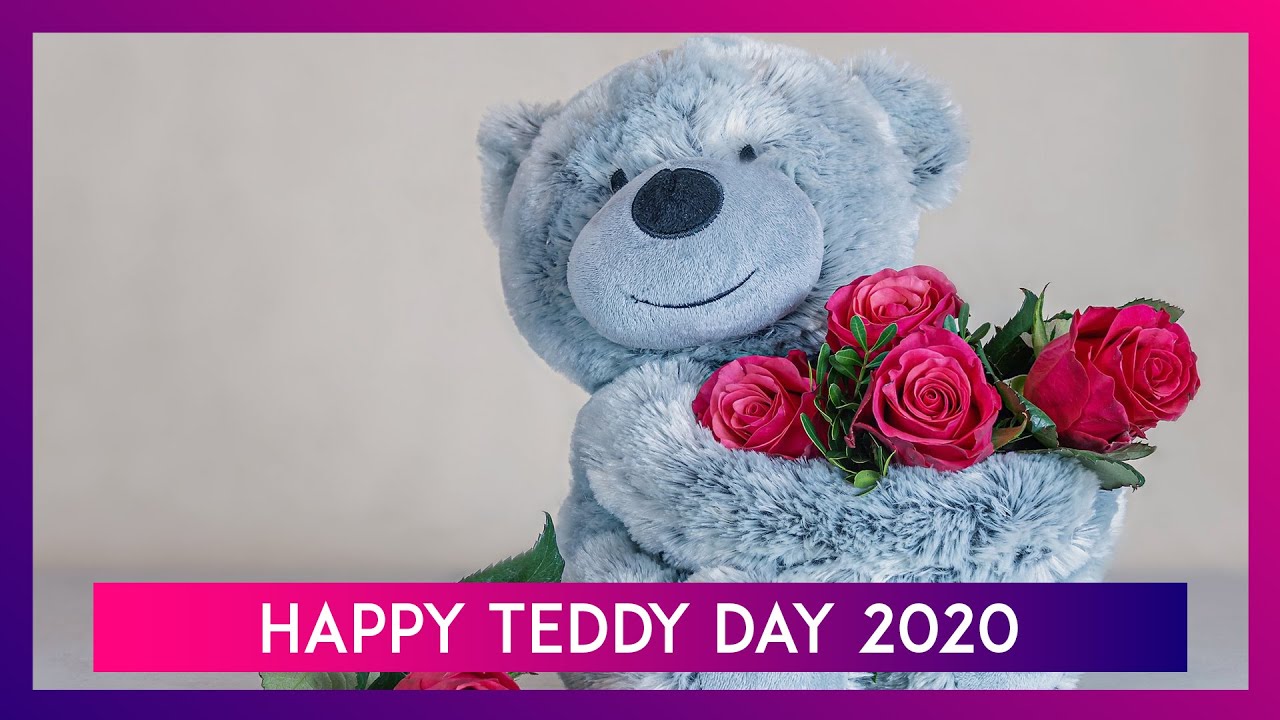 photo Valentine Week Teddy Day Wishes In Hindi happy teddy day 2020 wishes in hindi whatsapp messages images quotes to send in valentine week