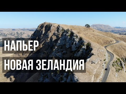НАПЬЕР | Новая