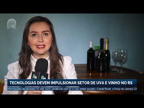 Tecnologias devem impulsionar setor de uva e vinho no RS | Canal Rural