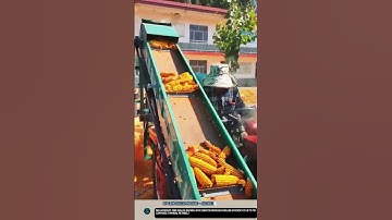 DIY Corn Sheller Machine – Automatic Conveyor Maize Tool