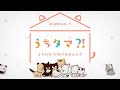 TVアニメ『うちタマ?! 〜うちのタマ知りませんか?〜』オープニングムービー │「フレンズ」wacci
