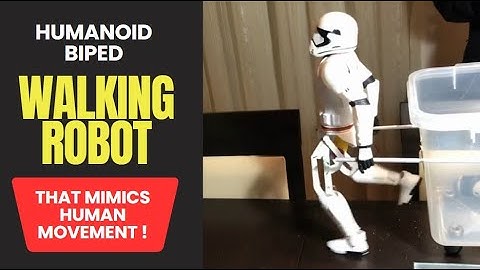 Bipedal Walking Robot. Diy Humanoid Robot. Walking Biped Robot