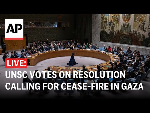 LIVE: UN Security Council adopts cease-fire resolution aimed at ending Israel-Hamas war in Gaza