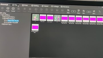 Hosonsoft printing software