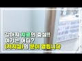 스마트 정형외과 신경외과 동물병원 처치실 대공개🙌 보호자들이 모르는 비밀 공간 탐험🔍