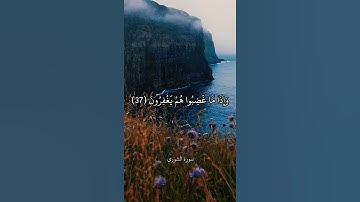 وَالَّذِينَ يَجْتَنِبُونَ كَبَائِرَ الْإِثْمِ وَالْفَوَاحِشَ || سورة الشورى || علي جابر