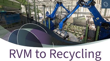 From RVM to Recycling | How Bottles & Cans Are Sorted