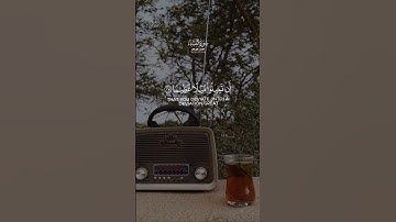 سورة النساء الآية 27-28 القارئ علي جابر