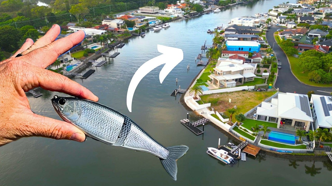 The FISH Of My LIFETIME