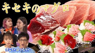 【キセキのマグロ】マグロの目利きプロが厳選したおいしいマグロを新鮮お取り寄せ！#92-4