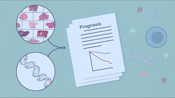 Deep Learning-based Multimodal Data Integration Improves Cancer Prognostication