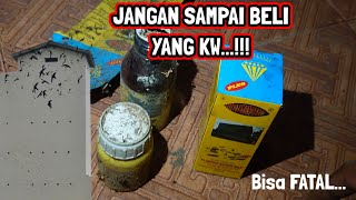 AWAS..‼️ Obat Hama WALET ada yang PALSU... || Tips Rumah Walet Sukses