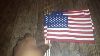 United States Sick Flag