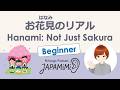 【一人語り】お花見のリアル｜Hanami: Not Just Sakura【Beginner】 #SoloPodcast #Japaneselistening