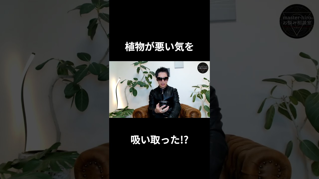 【友人宅の観葉植物が悪い気を吸い取った！？】