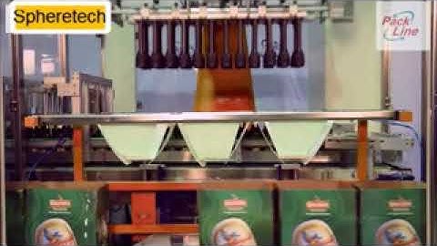 Automatic Bottle Case Packer / Robotic Case Packing Machine