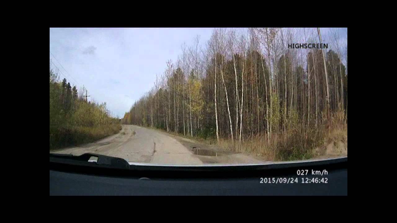 Медведь ст. Островная Сургут - YouTube