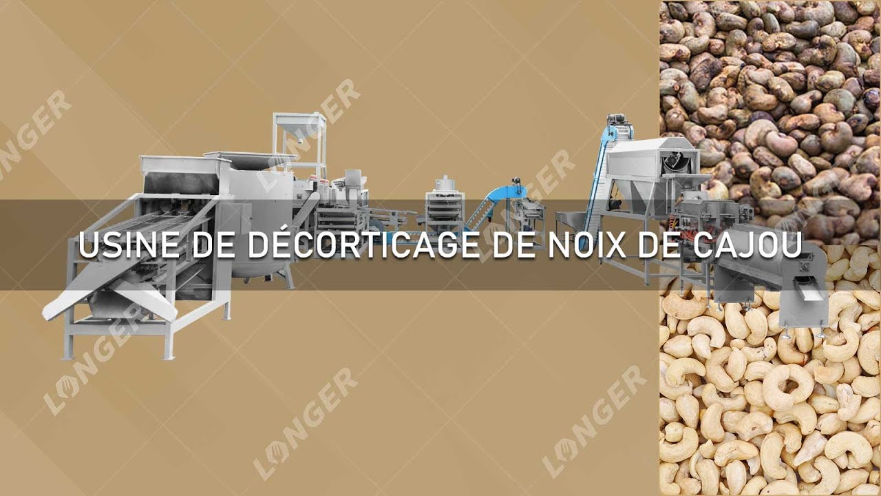 Ramasse-noix à Rouleau Télescopique – Longueur 46-150 Cm – Acier Inoxydable – Pour Noix, Châtaignes, Fruits