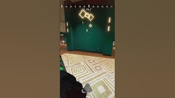 Sentinel is the best shotgun 🤠