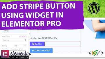 How to Add Stripe Checkout Button Widget in Elementor Pro WordPress | Price | Payment Gateway