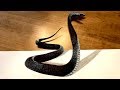 It's ALIVE! Scary SNAKE 3D Drawing Optical Illusion!