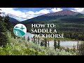 How to saddle a pack-horse: The saddle & the horse