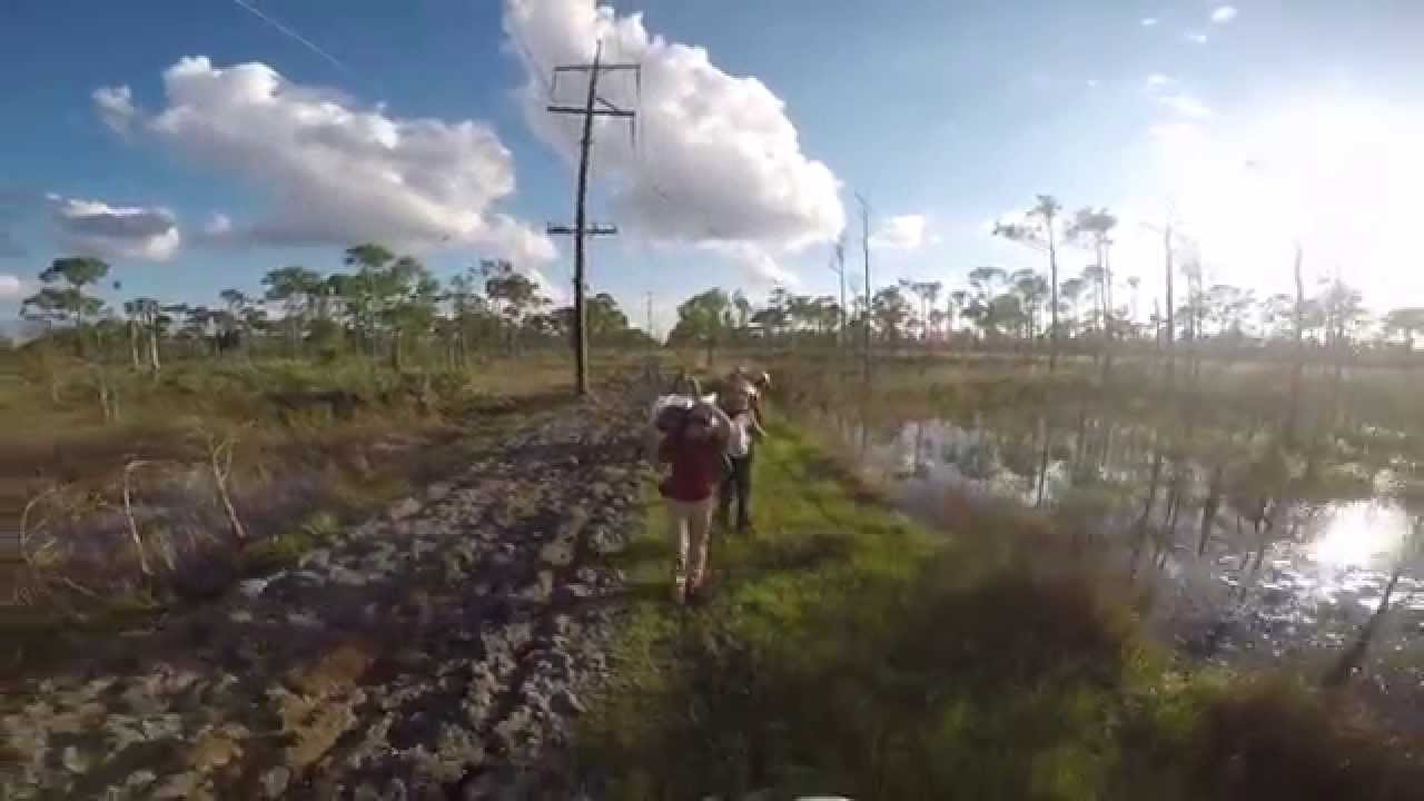 Camping in Jonathan Dickinson State Park YouTube