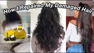 How To Repair Damaged Hair || Natural Remedies