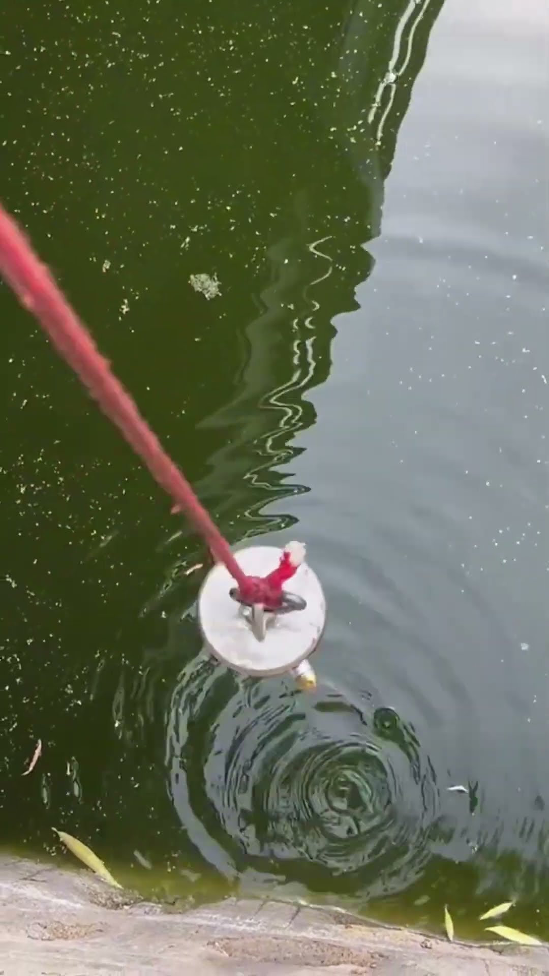 Strong magnetic retrieves discarded objects at the bottom