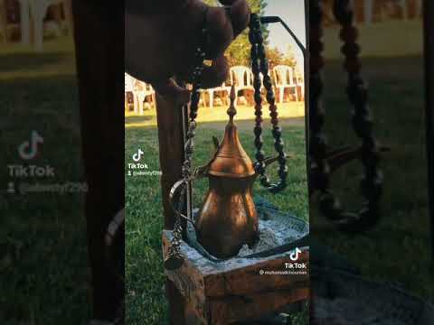 الخنسا لوين شدو الفرس