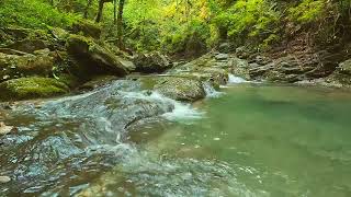 Flowing water Free download