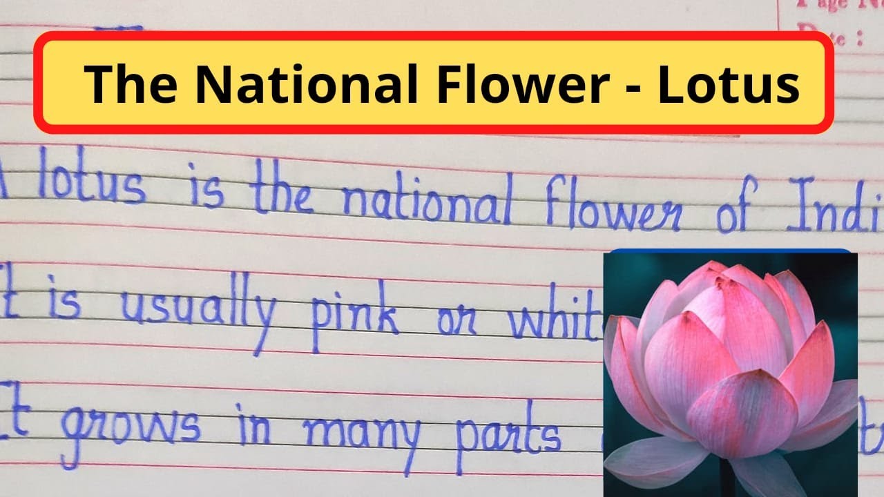 essay 10 lines on lotus in english