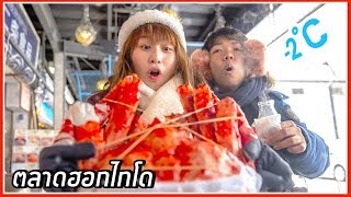 Roaming around Hokkaido Fish Market, Full of Huge Crabs!