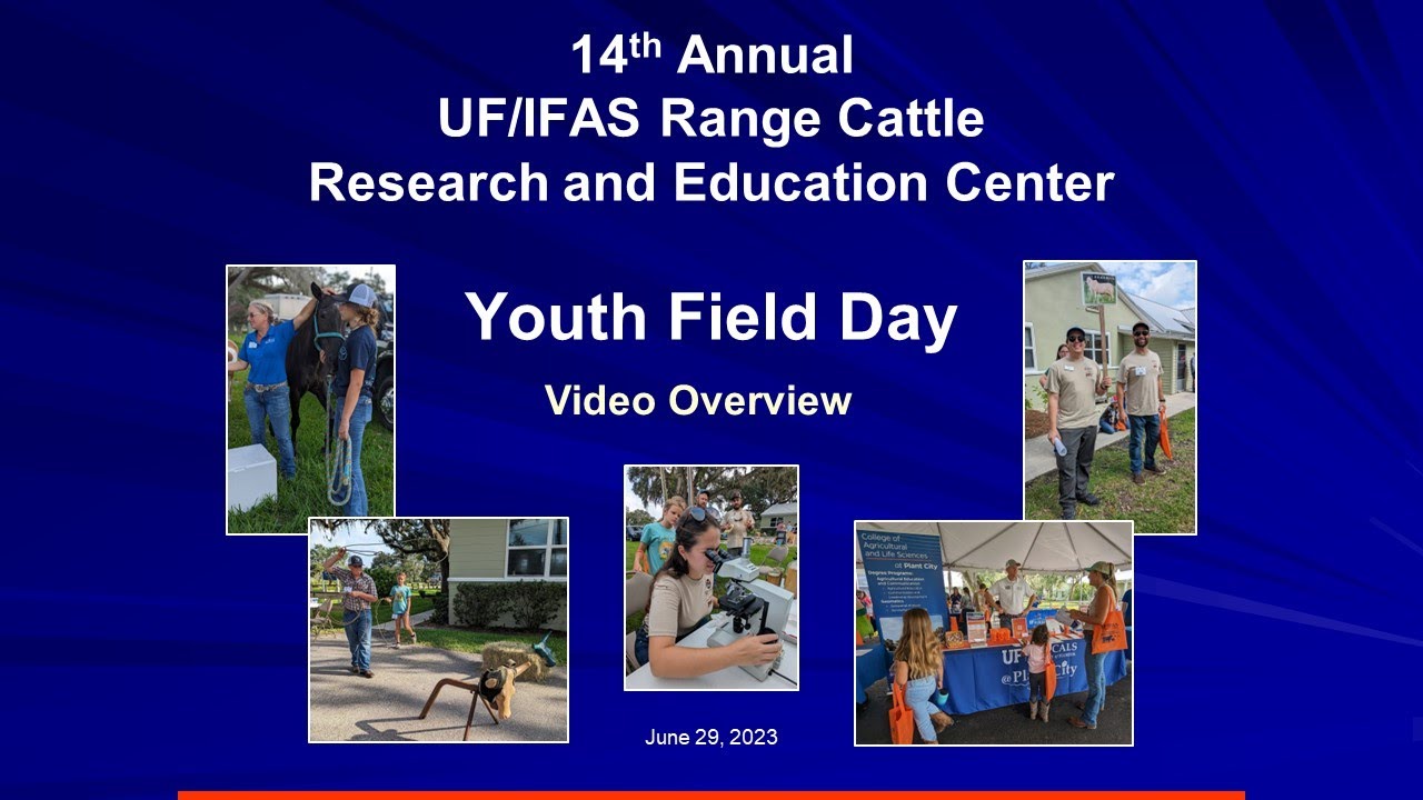 2023-uf-ifas-range-cattle-rec-youth-field-day-overview-youtube