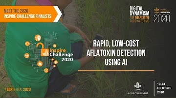 2020 Inspire Challenge Finalist: Rapid, Low-Cost Aflatoxin detection using AI