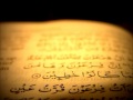 سورة نوح إبراهيم الأخضر YouTube 