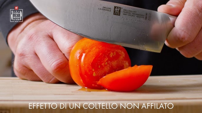 De Luca AFFILACOLTELLI Manuale A 8 ROTELLE DIAMANTATE AFFILA ARROTA COLTELLI  : : Casa e cucina