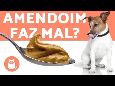 Vídeo: A Manteiga De Amendoim é Segura Para Cães?