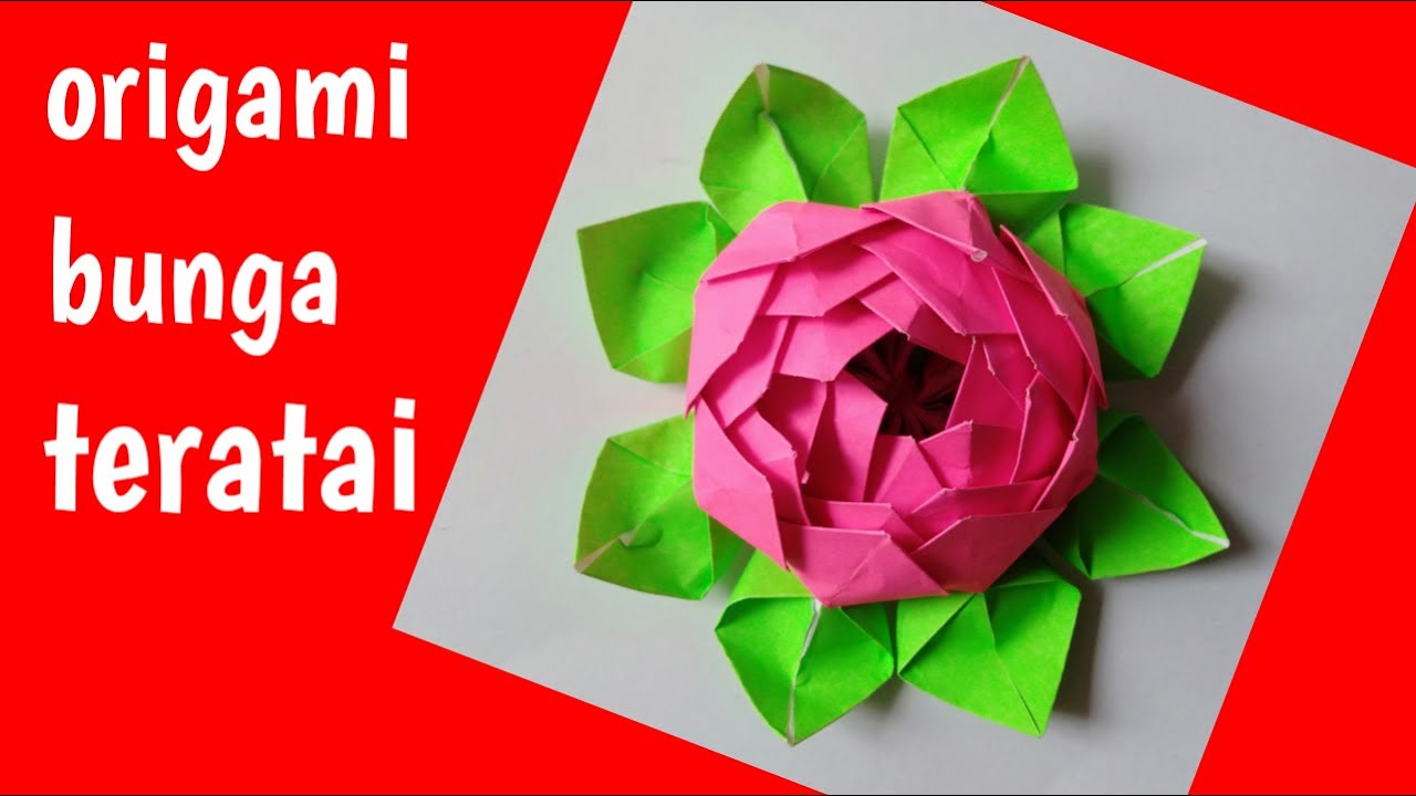  Cara membuat origami bunga teratai  YouTube