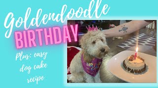 Mini Goldendoodle Luna's 1st bday! 90 second Microwave mug cake for dogs! Easy recipe! by Jennifer Volek 490 views 2 years ago 6 minutes, 4 seconds